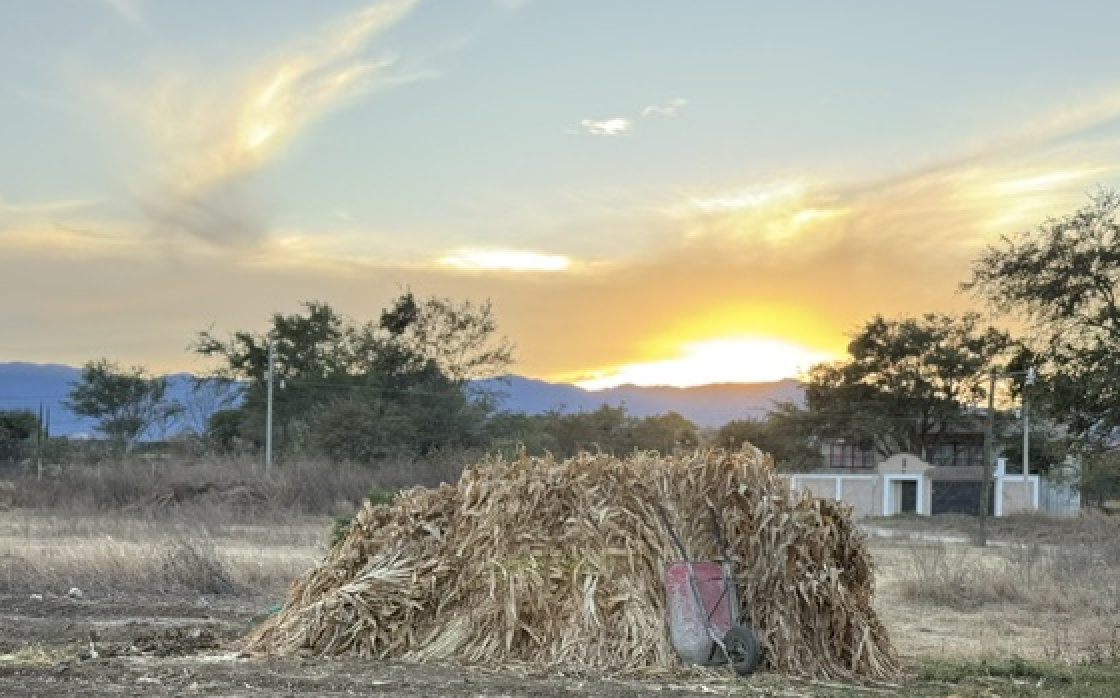 Milpa San Lucas al atardecer