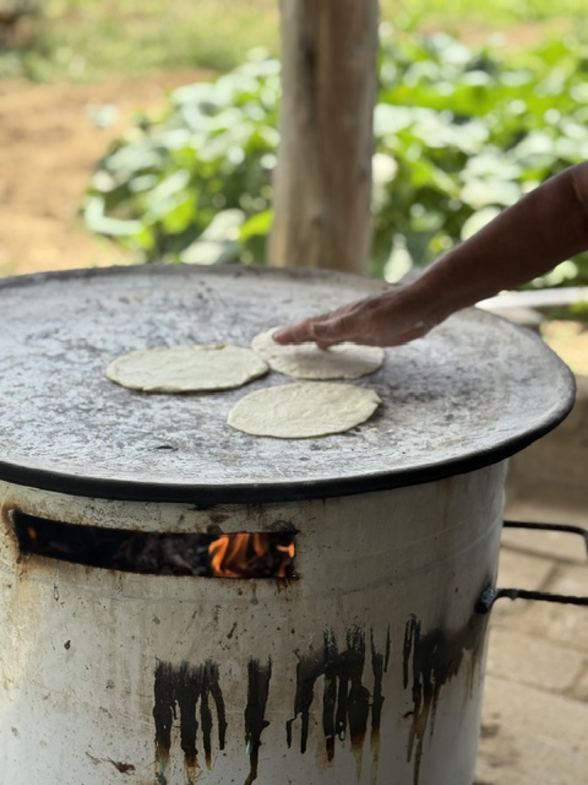 Comida en la milpa